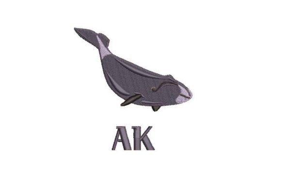 Bowhead Whale Embroidery: A Designer's Honest Review